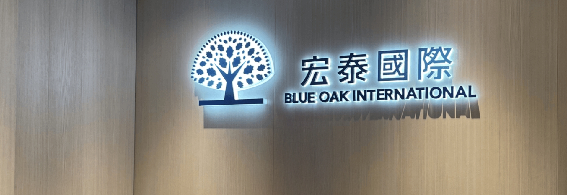 職業生涯